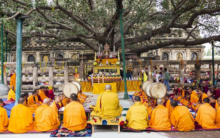 The "Bodhi" (Awakening) Tree under which Siddhartha attained Buddhahood