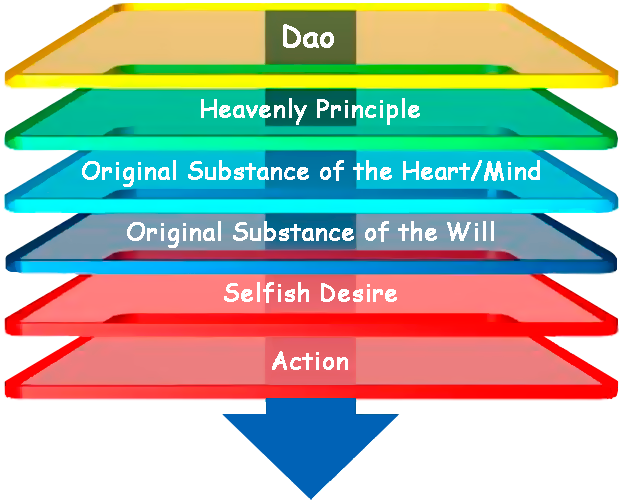 Flow chart representing Wang Yangming's conception of heavenly principle and it's influence on human action