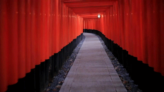 Walking through the Inari Shrine