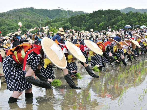 Shinto Rice Planting Ritual